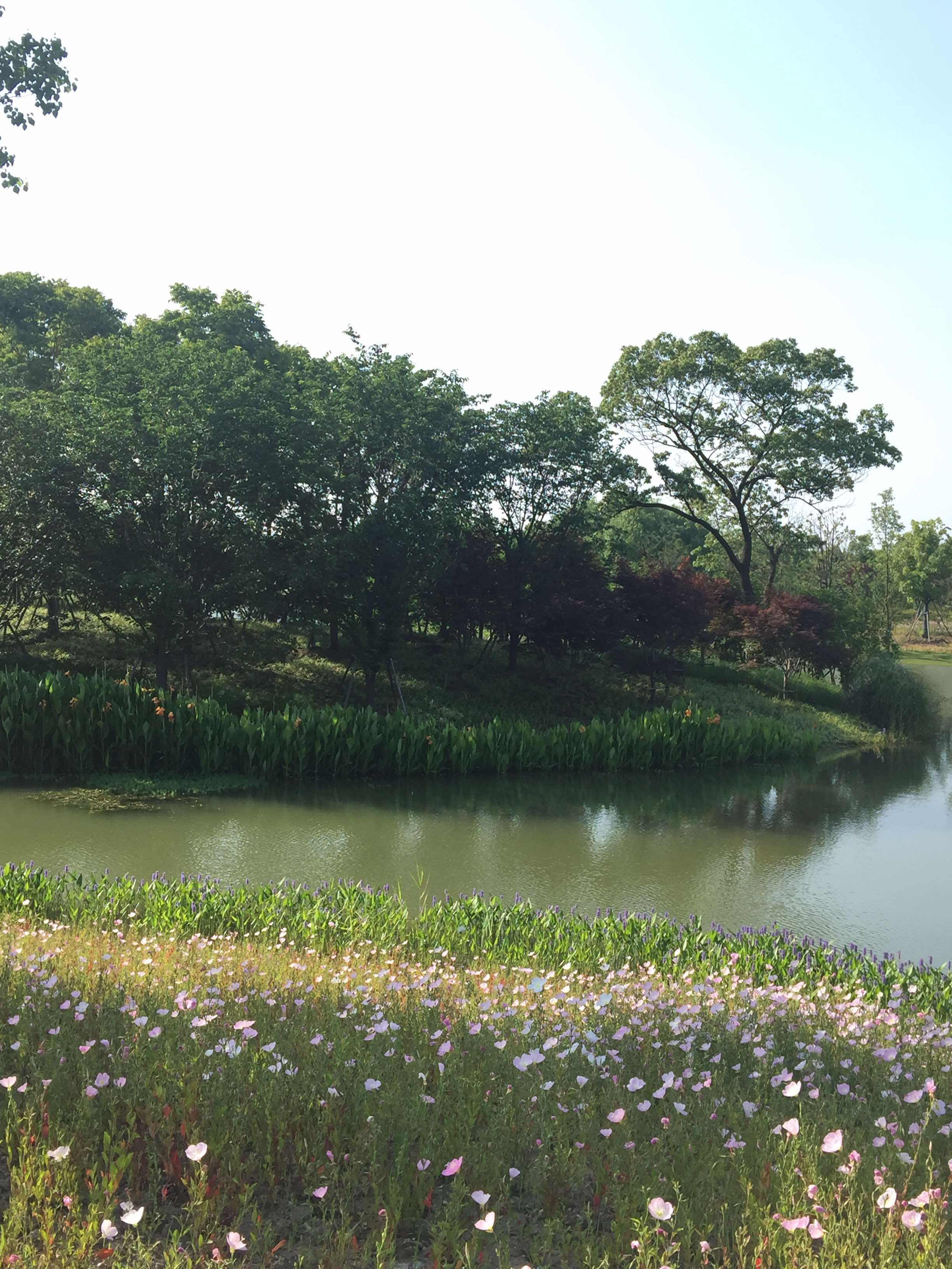 微信圖片_20170627141013.jpg