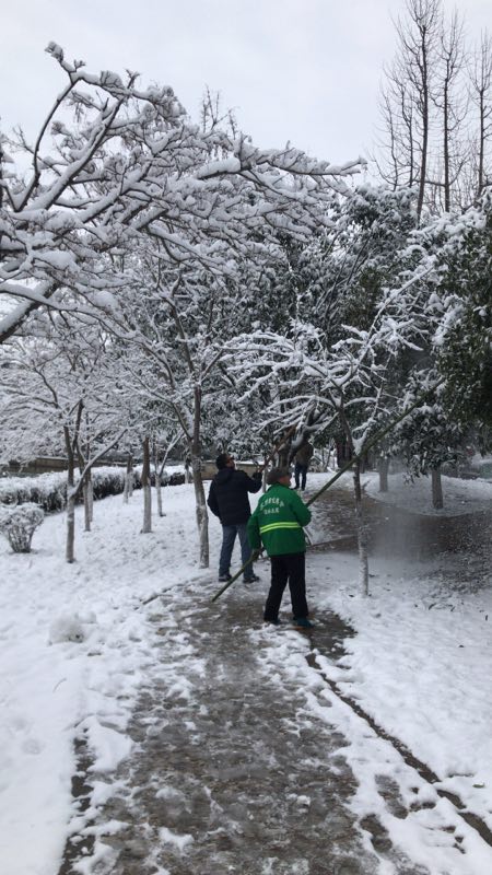 抖落積雪.jpg